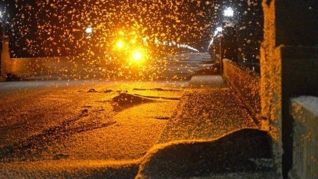 A swarm of mayflies hovers over a bridge in Pennsylvania, US