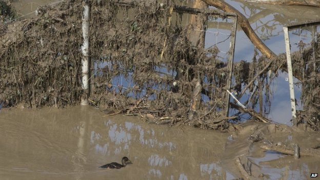 A duck swims in the mud at a flooded zoo area in Tbilisi, Georgia, on 15 June 2015.