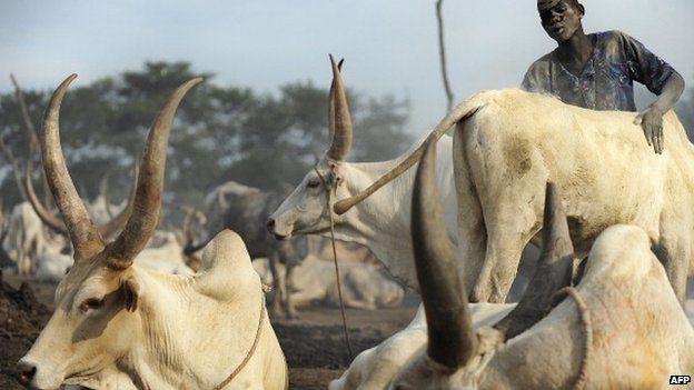 A herdsman from the Dinka group at a cattle-camp near South Sudan's central town of Rumbek