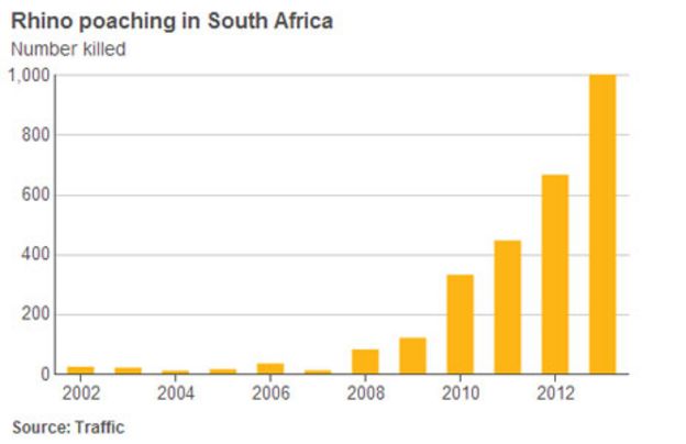Rhino poaching chart