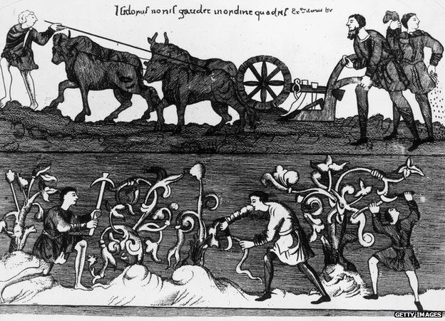 Circa 1250, Peasant farmers ploughing, sowing and pruning