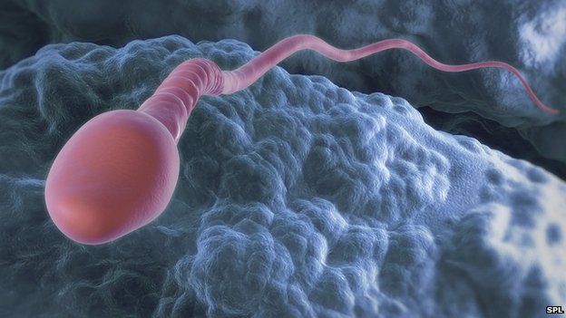 fertility-clinic-used-wrong-sperm-bbc-news