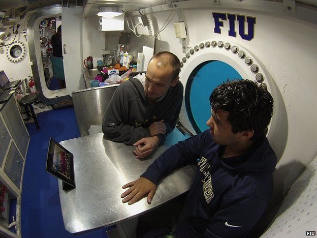 Aquanauts looking at tablet - provided by Aquarius Reef Base at the Florida International University