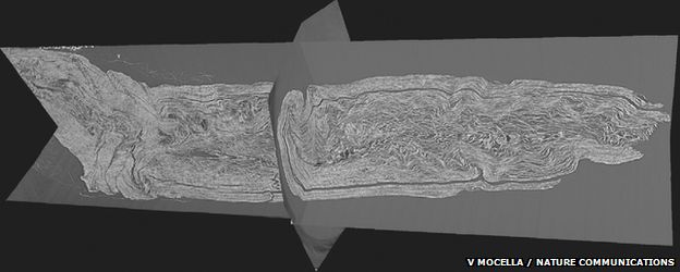 cross-sections of the scroll