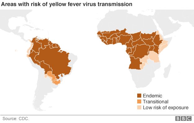 Map outlining areas at risk from yellow fever