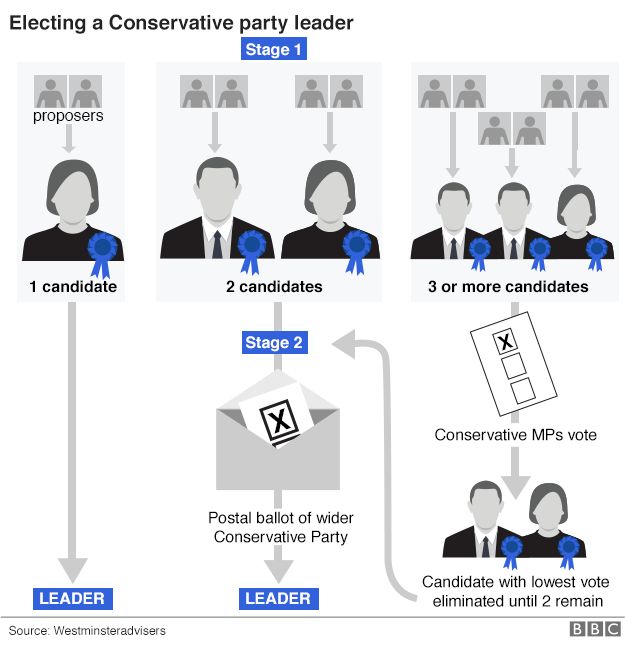 Electing a Conservative leader