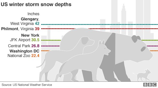 Graphic of snow fall