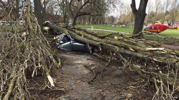 A driver was badly injured when his car was hit by a falling tree in Birmingham (31 March)