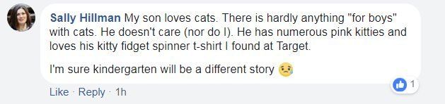 Facebook screen grab from Sally Hillman, reading: "My son loves cats. There is hardly anything "for boys" with cats. He doesn't care (nor do I). He has numerous pink kitties and loves his kitty fidget spinner t-shirt I found at Target."