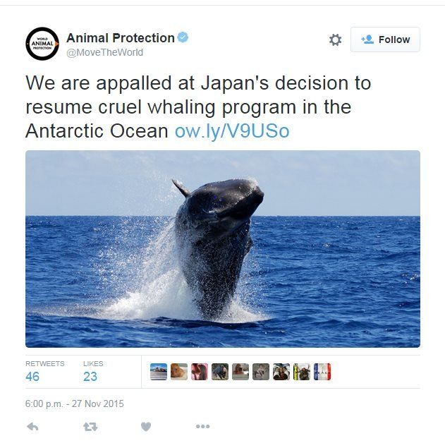 Tweet from Animal Protection: "We are appalled at Japan's decision to resume cruel whaling program in the Antarctic Ocean"