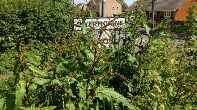 Grass obscuring the Owermoigne village sign