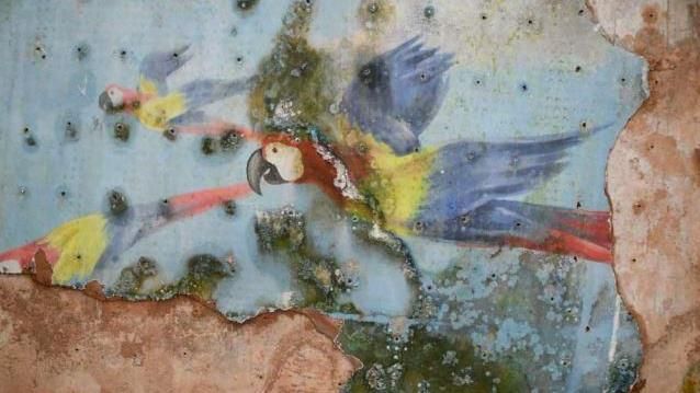 A painting of three parrots flying on a wall disfugred by mould