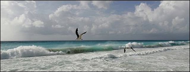 Costa de México