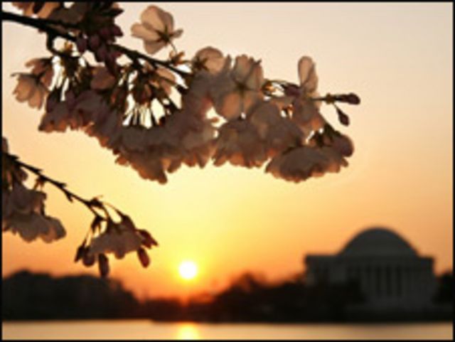 Jefferson Memorial