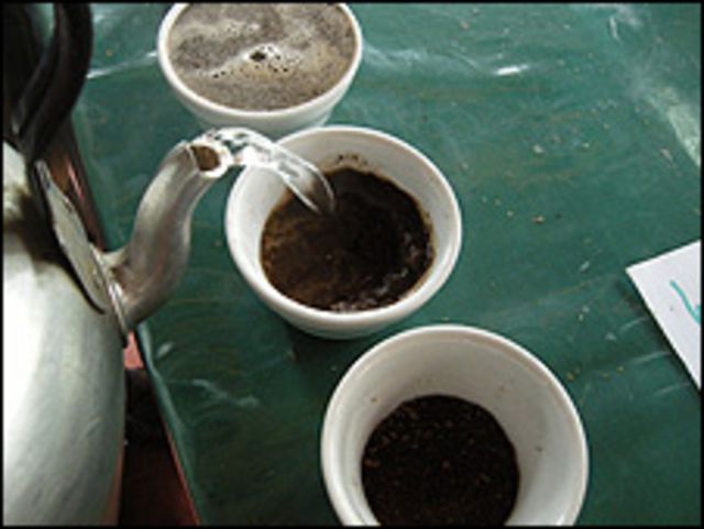 Cupping