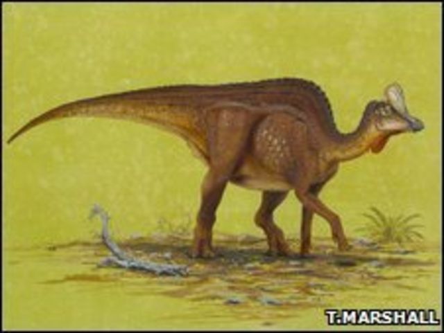 Hadrosaurio