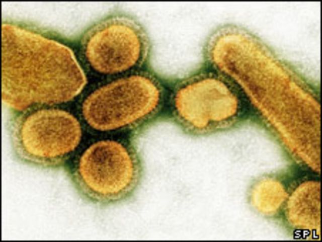 Cepa del virus que provocó una pandemia en 1918