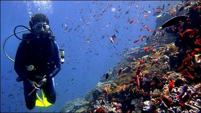 Arrecifes de coral en la isla de Komodo.