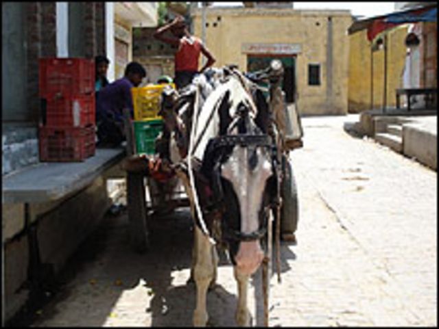 قصة حب في الهند