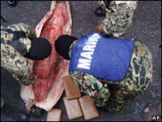 Tiburones usados por el narco