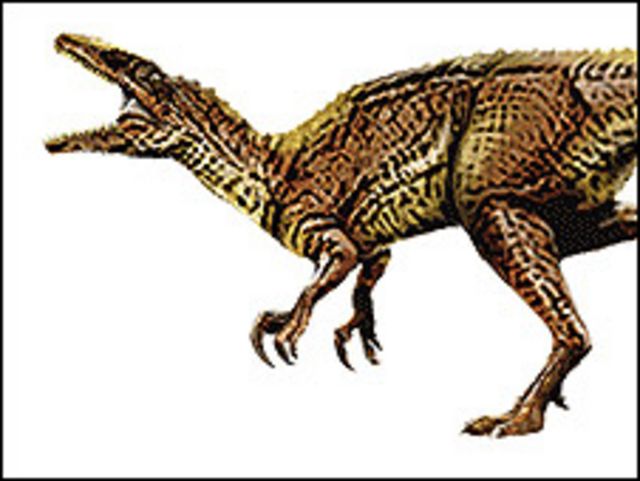 Impresión artística del dinosaurio carnívoro Banjo (Imagen: Australian Age of Dinasours)