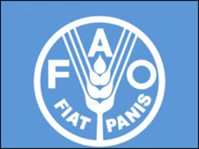 شعار منظمة الفاو