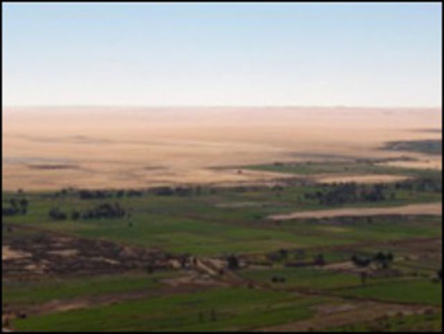 Oasis en el desierto del Sahara