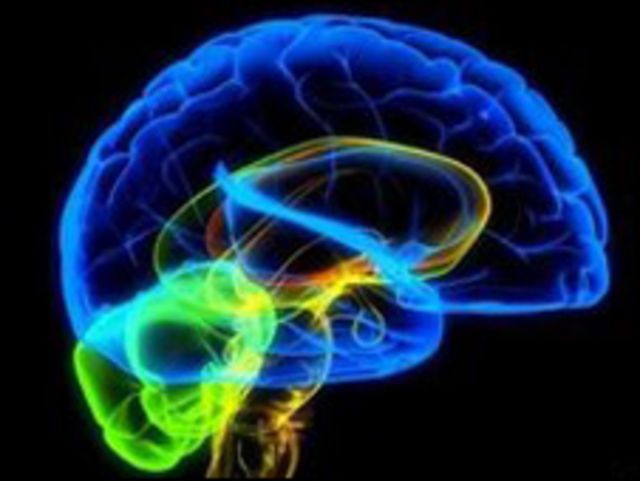 نموذج بالكومبيوتر للمخ البشري