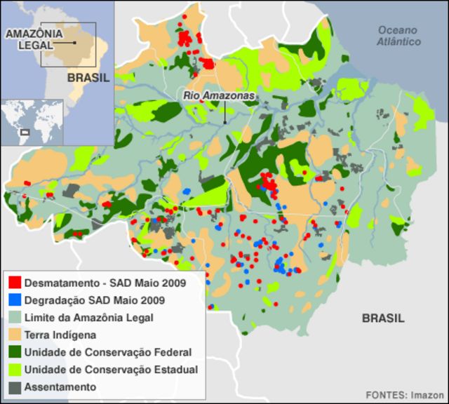 A Amazônia em números BBC News Brasil