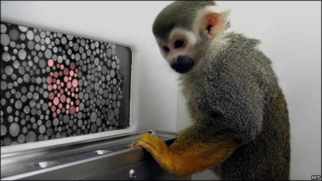 genética del daltonismo