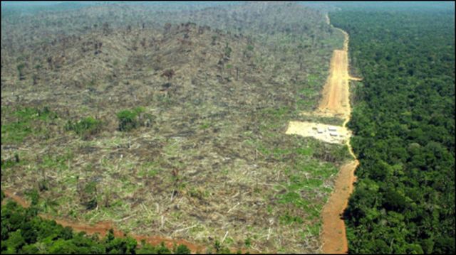 ENTENDA O QUE É REDD: Redução das Emissões por Desmatamento e Degradação  florestal