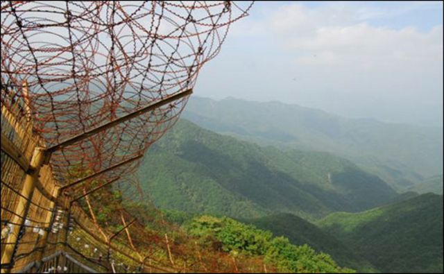 Zona Desmilitarizada entre las Coreas (ZDC) - Foto: Green Korea United