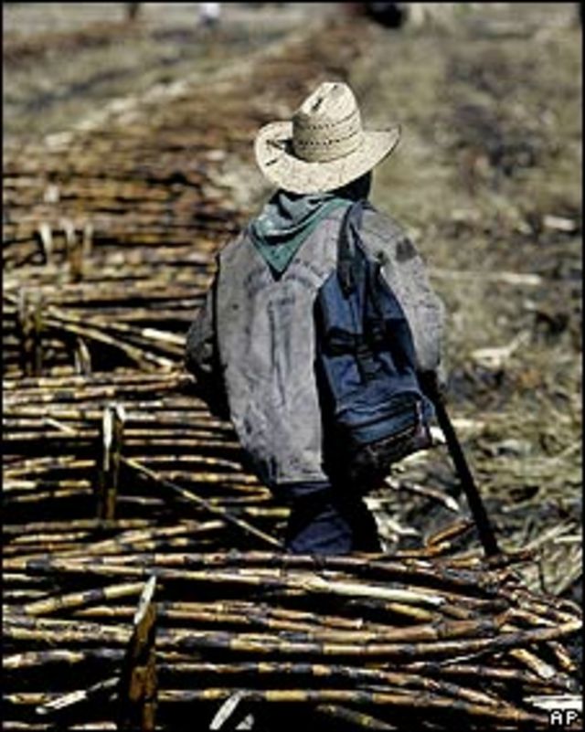 Agricultor mexicano. Archivo