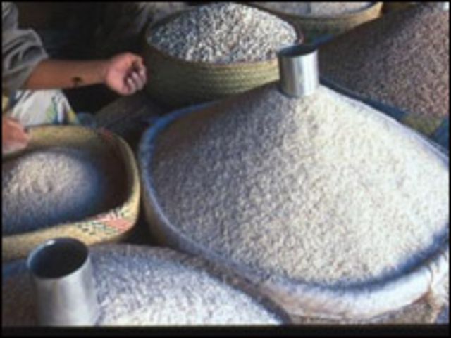 Rice