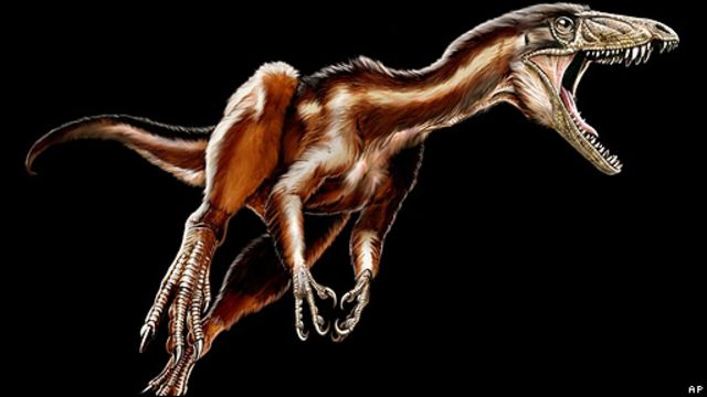 Sudamérica, cuna de dinosaurios - BBC News Mundo