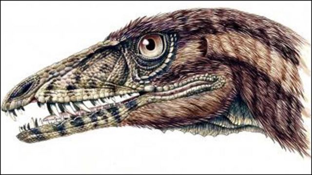 O mais antigo precursor dos dinossauros sul-americanos é