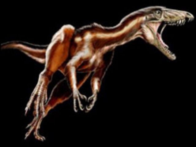 Estudo sugere que existiam duas espécies de tiranossauro além do T. Rex