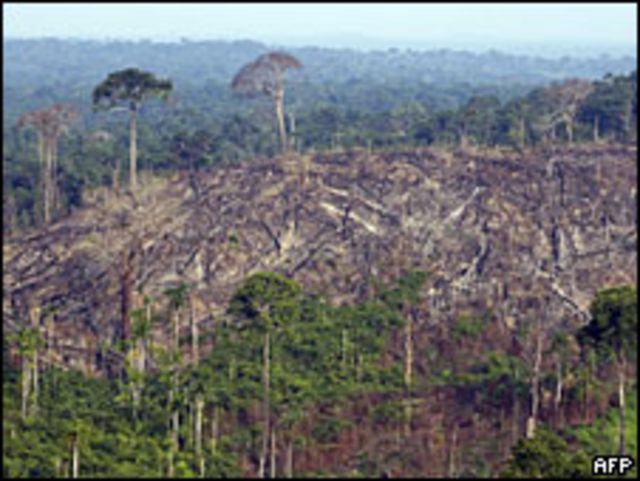 Deforestación en el Amazonas. 
