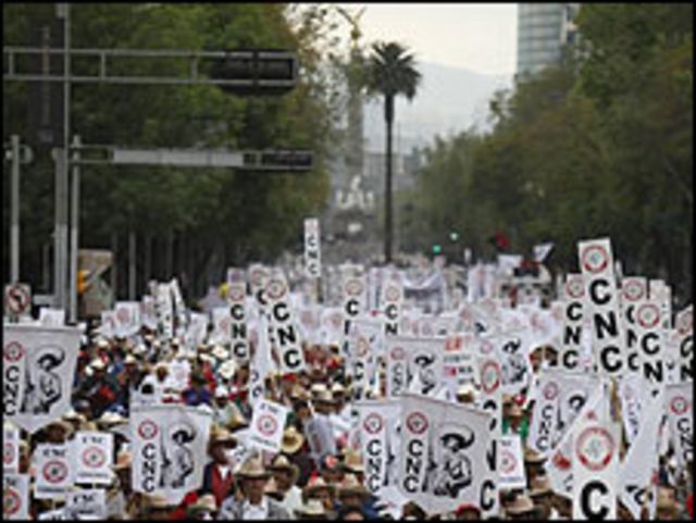 Manifestación en Ciudad de México contra el costo de vida y las políticas económicas, 29 de enero de 2010.