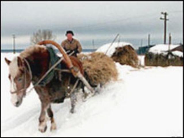 Реферат: Раскулачивание колхозников