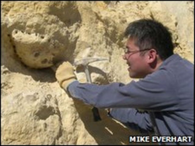 Shimada en los trabajos de excavación