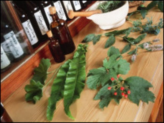 Hierbas medicinales