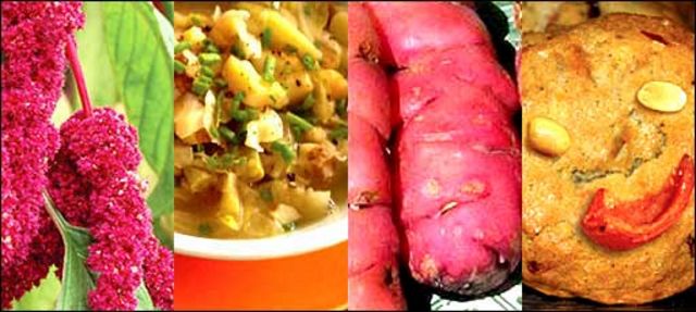 Cultivos tradicionales andinos Foto: cortesía FAO