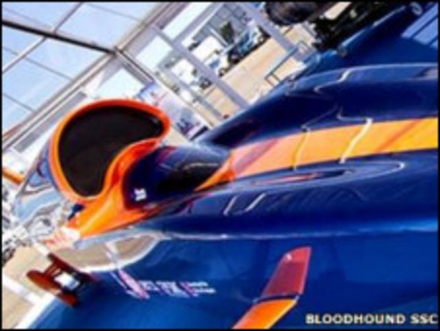 Bloodhound