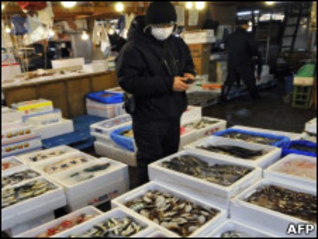 日本築地魚市場