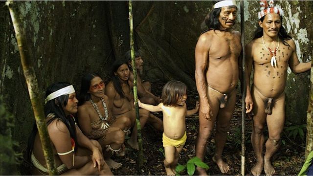 Mujeres y hombres huaorani bajo su árbol sagrado