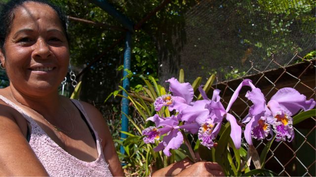 Orquídeas desde Cuba - BBC News Mundo