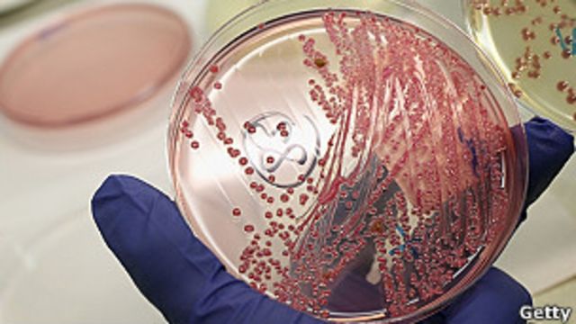 estar prisión Remontarse Lo que debe saber acerca del brote de E. coli - BBC News Mundo