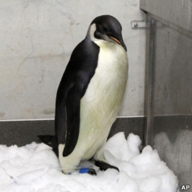 Foto: AP