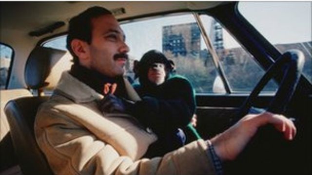 فيلم صحوة كوكب القردة يضع مرآة أمام البشرية لترى صورتها Bbc News عربي